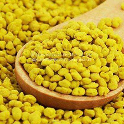 Corn Pollen, Sorghum flower Pollen Yellow powder, manufacturer, new resource food, Yongyuan Bio