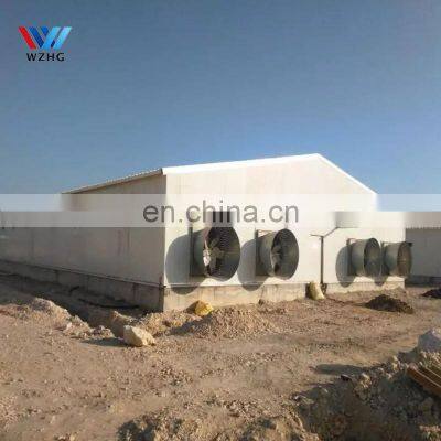Prefab Custom Poultry Farm Q355B Q235B Steel Structure House 10000 Pcs Chicken House Steel Metal Sheds Cow Sheds for Sale photo-4