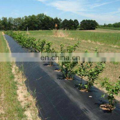 Anti Weed Mat 100% PP Woven Geotextile Weed Control Artificial Ground Cover For Blueberry