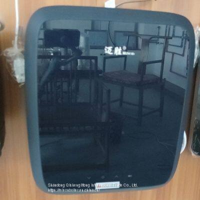8l 10l 12l 16l Boiler Wall Mounted Calentador de Agua a Gas Mini Gas Water Heater Digital Constant Gaz Gas Water Heater photo-2