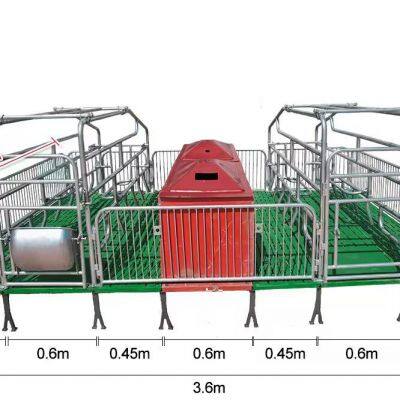 Double Sow Positions Farrowing Crate Whole Set 3.6m Width Farrowing Pen and Piglet Crate Galvanized Material