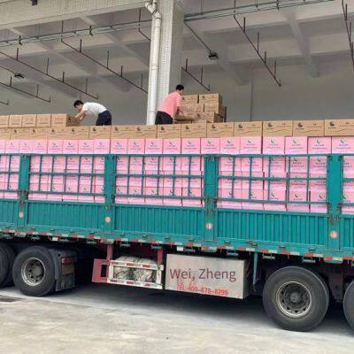 what channels are available for the european double - clearance dedicated line? how is the door - to - door transportation time?