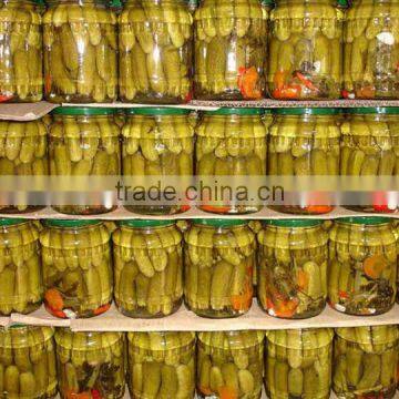 Pickled Cucumber
