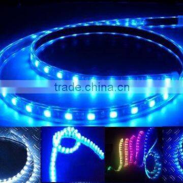 Highlight 5050SMD LED strips 30LED/m 5m/roll( blue)