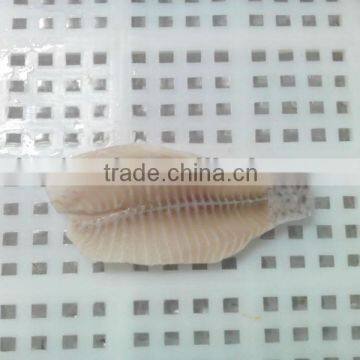 Frozen Tilapia fillet