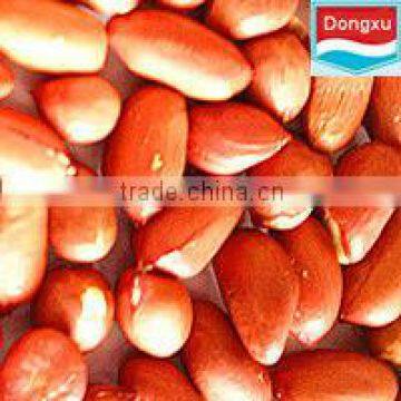 chinese red skin peanut kernels 50/60