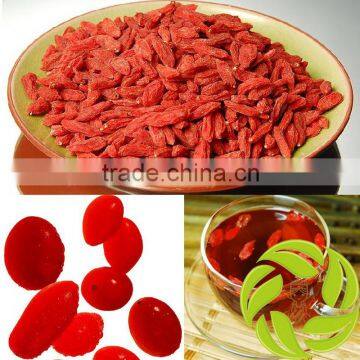 Top quality china dried fruit tea medlar in bulk Ningxia gouqizi increase immunity tea dried wolfberry herbal tea