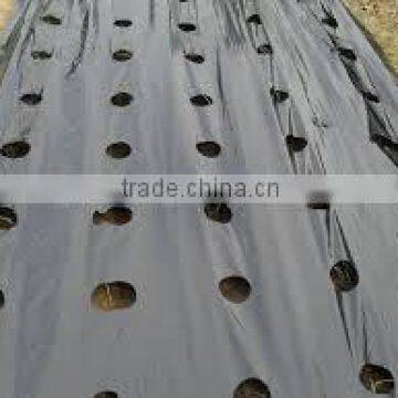 black mulch film for strawberry and tomato                        
                                                Quality Choice