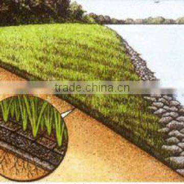 100% pp plastic Grass growing net/Turf growing net