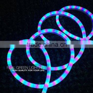 120V Wedding Party Decoration Blue and Pink Chasing LED Neon Light