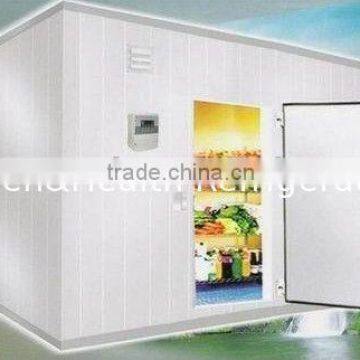 Commercial & Industrial Cold Room / Working freezer