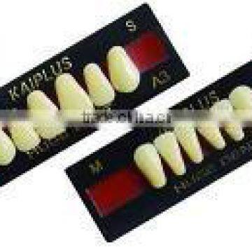 Four layers composite material KAIPLUS Synthetic polymer teeth