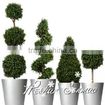 new products wholesale plastic boxwood plastic boxwood for garden decoration