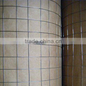 hot dipped galvanized welded wire mesh roll