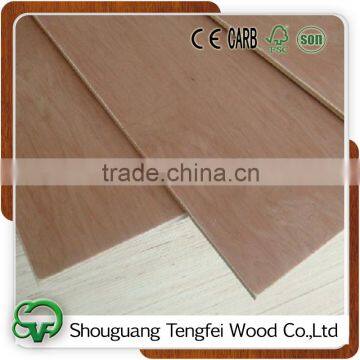 door skin plywood size