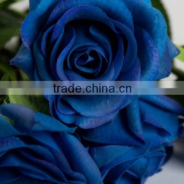 single stem real touch preserved rose flower wedding flower