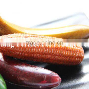 fish food (various fruits shaped dental dog snacks)