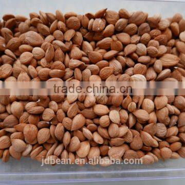 HPS bitter apricot kernels / sweet almond