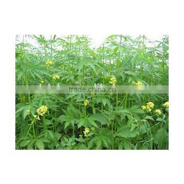Hot Selling Wholesale Agricultural Hemp Seeds photo-5