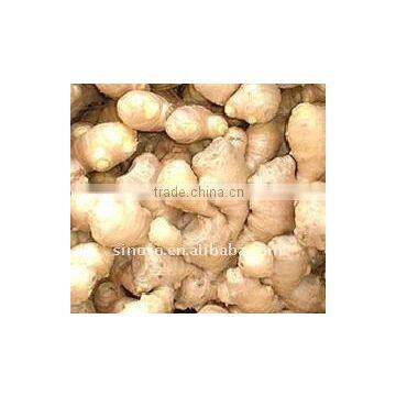 Air Dried Ginger (250g)