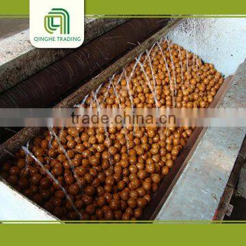 High Quality Light Quarters Walnut Kernels Market Price photo-4