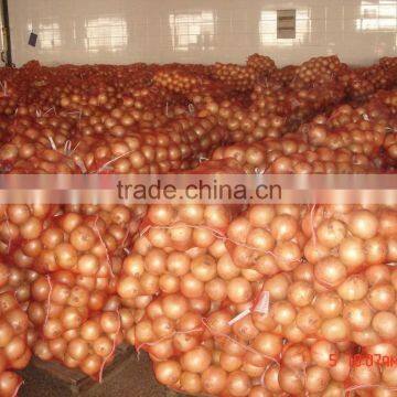 yellow onion