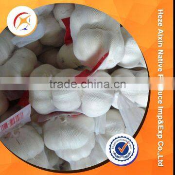 Fresh Garlic Importer Exporter