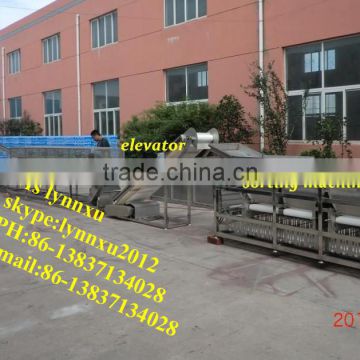 hot sale potato grading machine