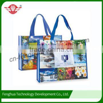 Widely used high quality promotion shoes bag