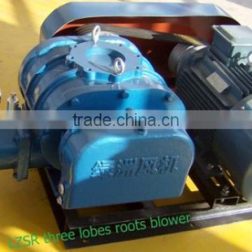 roots vacuum pump