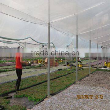 Agricultural Greenhouses Type Commercial Hydroponics Greenhouse photo-3