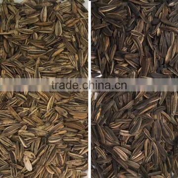 Automatic CCD Color Sorter/seperator Machine Price for Sunflower Seeds photo-5