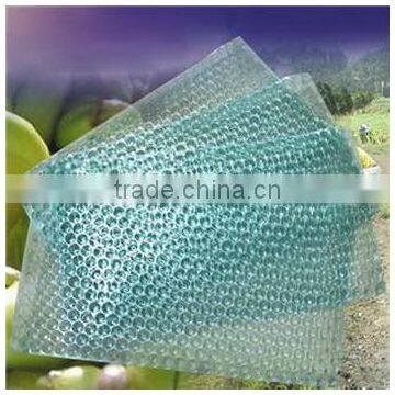 Made in Zhejiang China First Grade Factory Price Propagator Seedling Tray