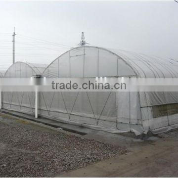 Outside shading sun flower cultivation in greenhouse