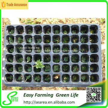 Seed-Starting Secrets of a Greenhouse Professional photo-5