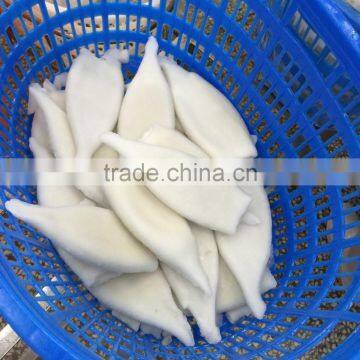 Wholesale Frozen Seafood Squid Tube photo-2