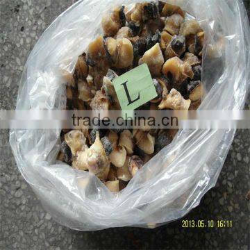frozen seafood and conch meat for sale