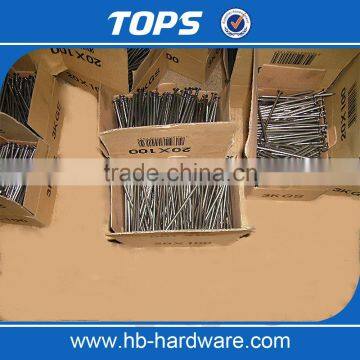 Concrete Nails Common Nail Iron Nail Factory photo-2