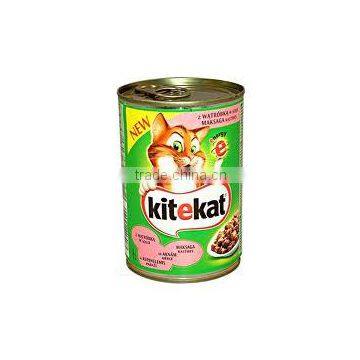 KiteKat