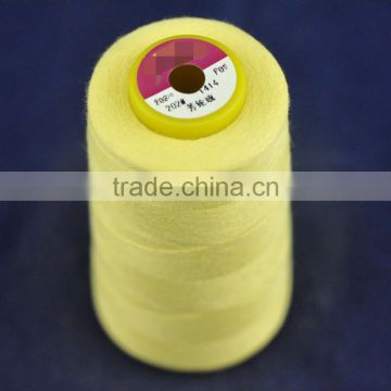 1313 META ARAMID THREAD fire retardant thread 20s to 60s, 2/3ply