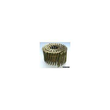 common coil nails
