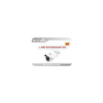 H.264 Megapixel IP Camera P2P , Waterproof Security Camera Bullet Type