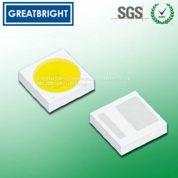 3030 SMD LED0.5W/1W