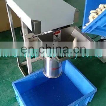 Multifunction Pepper Garlic Ginger Paste Machine For Commercial Using