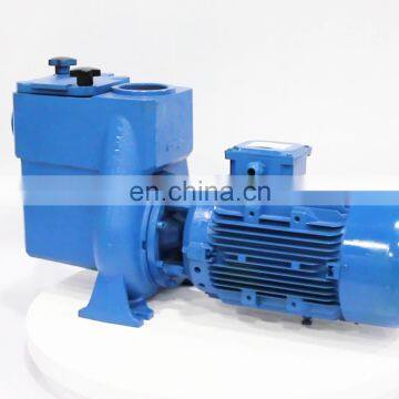 Hot Selling Low Noisy 15.Hp 200W Electronic Equipment Pool Pump