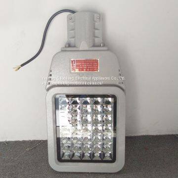 HRD9 Maintenance-free Explosion-proof LED Road Lamp High Efficiency Explosion-proof Street Lamp Pole photo-3
