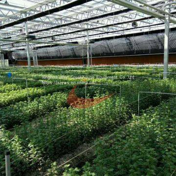 Commercial Agricultural Glass Greenhouse for Flower and Vegetables Glass Greenhouse photo-3
