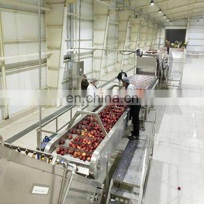 High pressure apple juicer pastering processing equipment production line