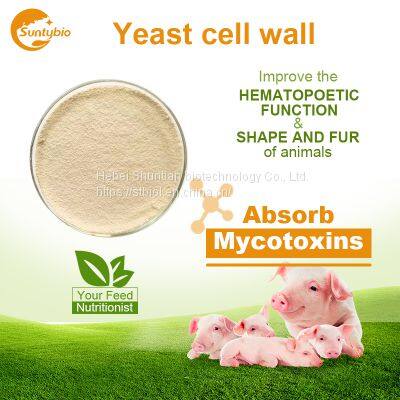 Yeast Cell Wall photo-5