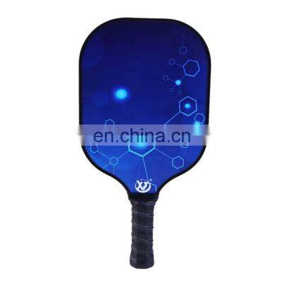 Professional Pickleball Paddle Graphite USAPA Pickleball